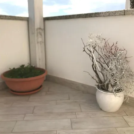Via Alloro 44 Appartement Olbia